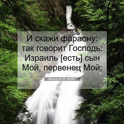 Picture 07 - Исход 4:22 RUSV - И скажи фараону: так - Bible Verse Picture