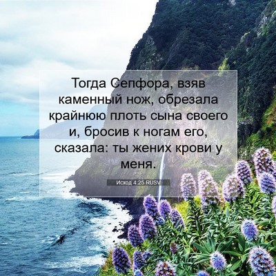 Picture 07 - Исход 4:25 RUSV - Тогда Сепфора, взяв - Bible Verse Picture