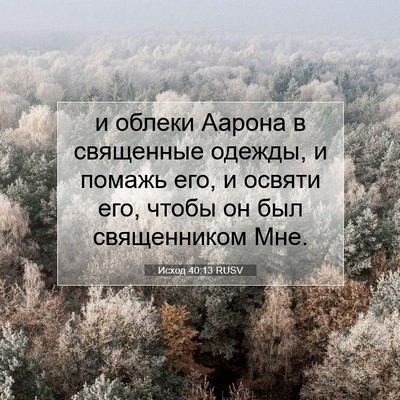 Picture 07 - Исход 40:13 RUSV - и облеки Аарона в - Bible Verse Picture