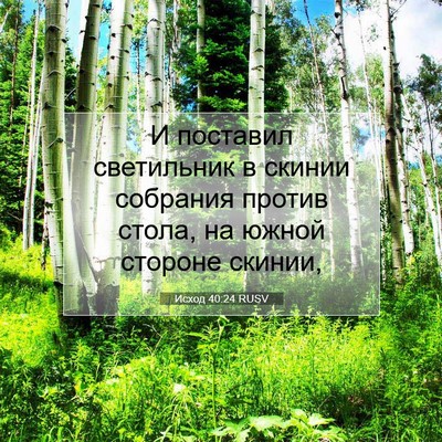 Picture 07 - Исход 40:24 RUSV - И поставил светильник в - Bible Verse Picture
