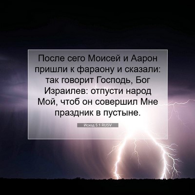 Picture 07 - Исход 5:1 RUSV - После сего Моисей и Аарон - Bible Verse Picture