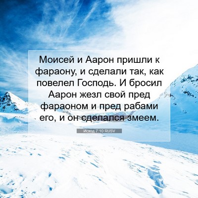 Picture 07 - Исход 7:10 RUSV - Моисей и Аарон пришли к - Bible Verse Picture