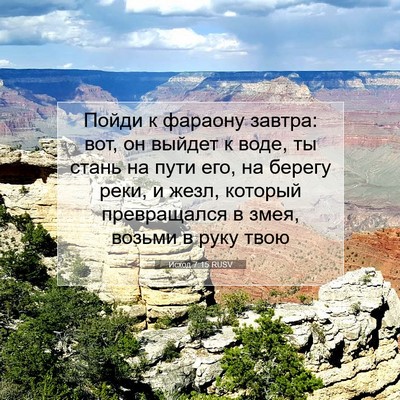 Picture 07 - Исход 7:15 RUSV - Пойди к фараону завтра: - Bible Verse Picture