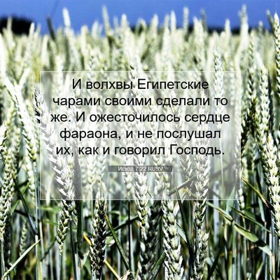 Picture 07 - Исход 7:22 RUSV - И волхвы Египетские чарами - Bible Verse Picture