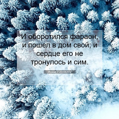Picture 07 - Исход 7:23 RUSV - И оборотился фараон, и - Bible Verse Picture