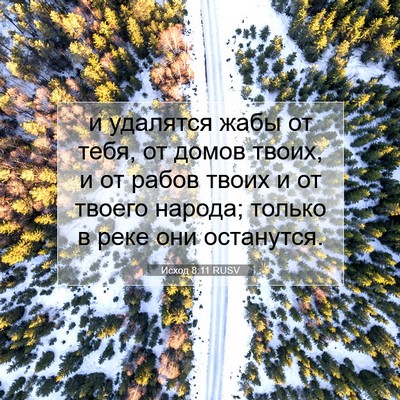 Picture 07 - Исход 8:11 RUSV - и удалятся жабы от тебя, от - Bible Verse Picture