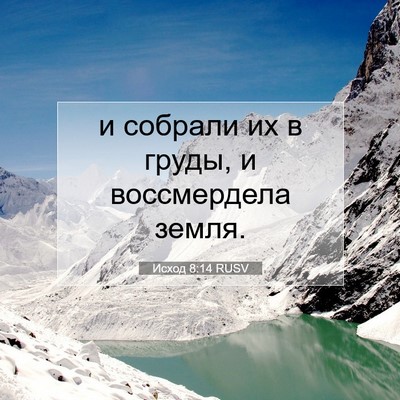Picture 07 - Исход 8:14 RUSV - и собрали их в груды, и - Bible Verse Picture