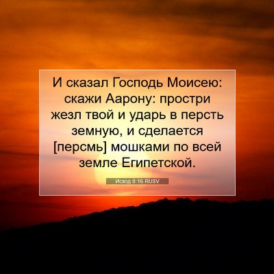 Picture 07 - Исход 8:16 RUSV - И сказал Господь Моисею: - Bible Verse Picture