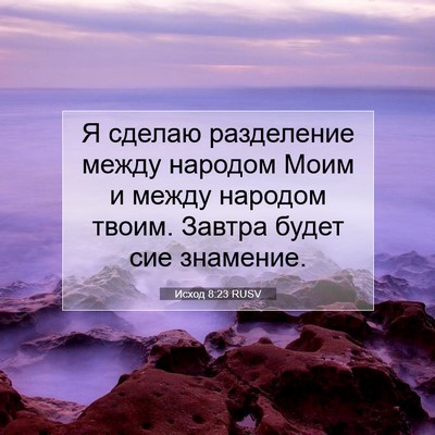 Picture 07 - Исход 8:23 RUSV - Я сделаю разделение между - Bible Verse Picture