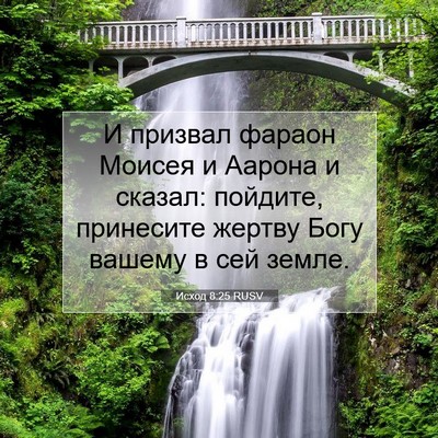 Picture 07 - Исход 8:25 RUSV - И призвал фараон Моисея и - Bible Verse Picture