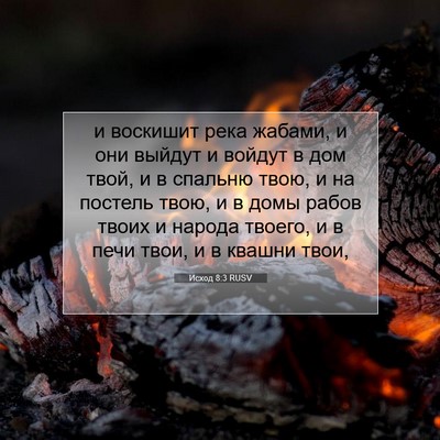 Picture 07 - Исход 8:3 RUSV - и воскишит река жабами, и - Bible Verse Picture