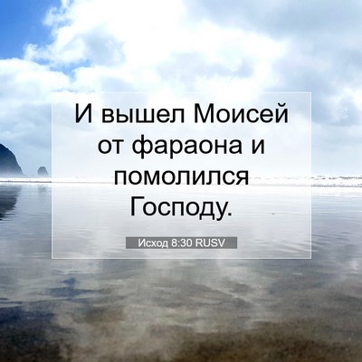Picture 07 - Исход 8:30 RUSV - И вышел Моисей от фараона и - Bible Verse Picture