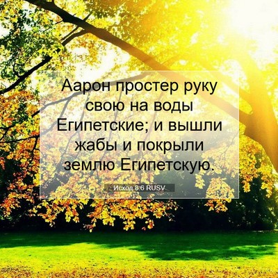 Picture 07 - Исход 8:6 RUSV - Аарон простер руку свою на - Bible Verse Picture
