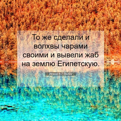 Picture 07 - Исход 8:7 RUSV - То же сделали и волхвы - Bible Verse Picture