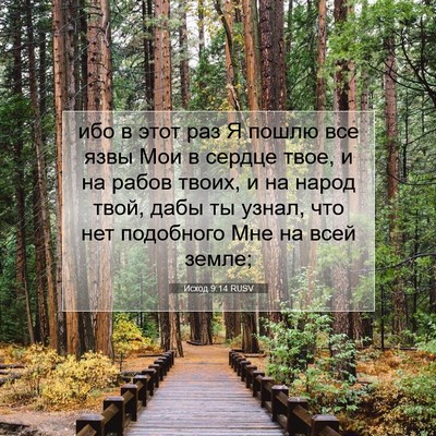 Picture 07 - Исход 9:14 RUSV - ибо в этот раз Я пошлю все - Bible Verse Picture