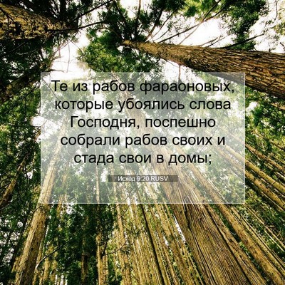 Picture 07 - Исход 9:20 RUSV - Те из рабов фараоновых, - Bible Verse Picture