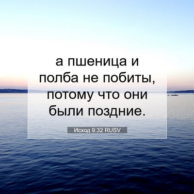Picture 07 - Исход 9:32 RUSV - а пшеница и полба не - Bible Verse Picture
