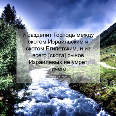 Picture 07 - Исход 9:4 RUSV - и разделит Господь между - Bible Verse Picture