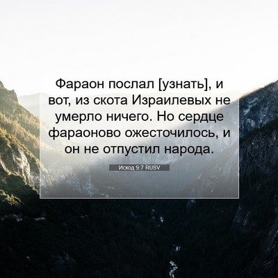 Picture 07 - Исход 9:7 RUSV - Фараон послал [узнать], и - Bible Verse Picture