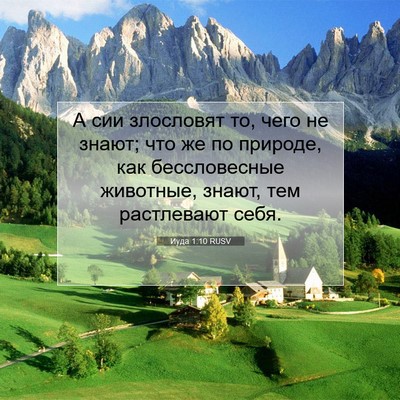 Picture 07 - Иуда 1:10 RUSV - А сии злословят то, чего не - Bible Verse Picture