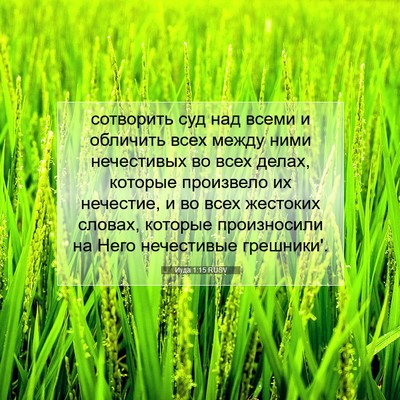 Picture 07 - Иуда 1:15 RUSV - сотворить суд над всеми и - Bible Verse Picture