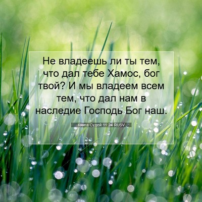 Picture 07 - Книга Судей 11:24 RUSV - Не владеешь ли ты тем, что - Bible Verse Picture