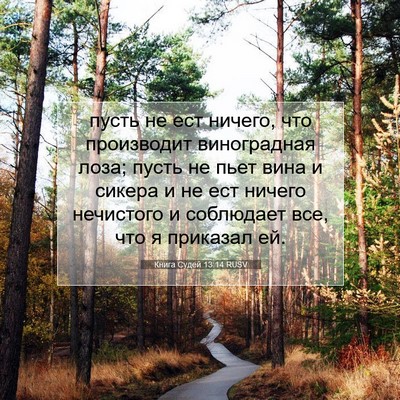 Picture 07 - Книга Судей 13:14 RUSV - пусть не ест ничего, что - Bible Verse Picture