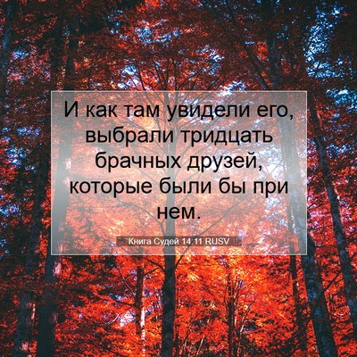 Picture 07 - Книга Судей 14:11 RUSV - И как там увидели его, - Bible Verse Picture