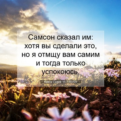 Picture 07 - Книга Судей 15:7 RUSV - Самсон сказал им: хотя вы - Bible Verse Picture