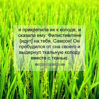 Picture 07 - Книга Судей 16:14 RUSV - и прикрепила их к колоде, и - Bible Verse Picture