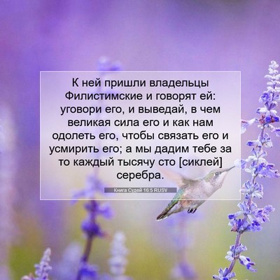 Picture 07 - Книга Судей 16:5 RUSV - К ней пришли владельцы - Bible Verse Picture