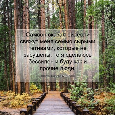 Picture 07 - Книга Судей 16:7 RUSV - Самсон сказал ей: если - Bible Verse Picture