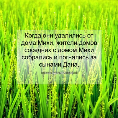 Picture 07 - Книга Судей 18:22 RUSV - Когда они удалились от - Bible Verse Picture