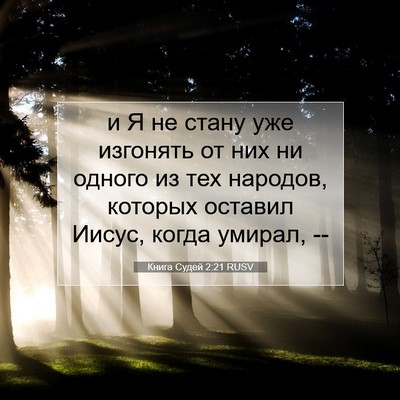 Picture 07 - Книга Судей 2:21 RUSV - и Я не стану уже изгонять - Bible Verse Picture