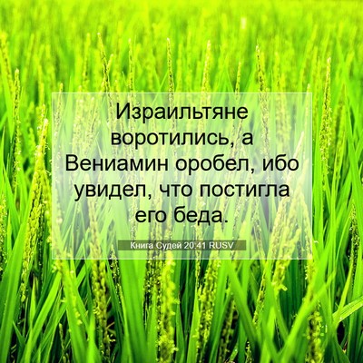Picture 07 - Книга Судей 20:41 RUSV - Израильтяне воротились, а - Bible Verse Picture