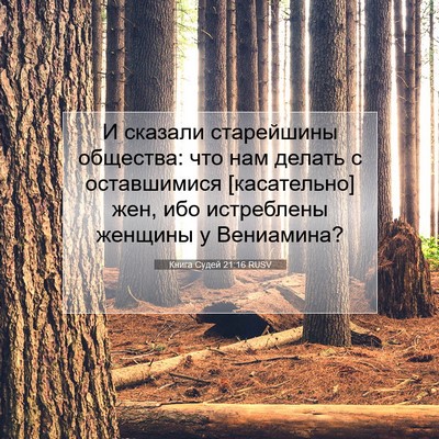 Picture 07 - Книга Судей 21:16 RUSV - И сказали старейшины - Bible Verse Picture