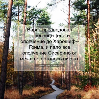Picture 07 - Книга Судей 4:16 RUSV - Варак преследовал - Bible Verse Picture
