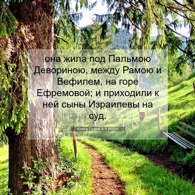 Picture 07 - Книга Судей 4:5 RUSV - она жила под Пальмою - Bible Verse Picture