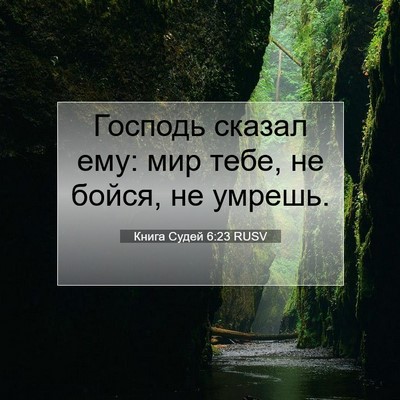 Picture 07 - Книга Судей 6:23 RUSV - Господь сказал ему: мир - Bible Verse Picture