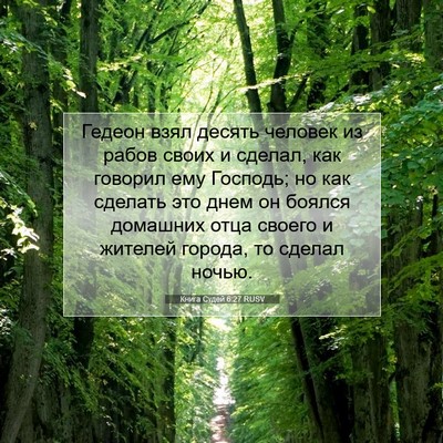 Picture 07 - Книга Судей 6:27 RUSV - Гедеон взял десять человек - Bible Verse Picture