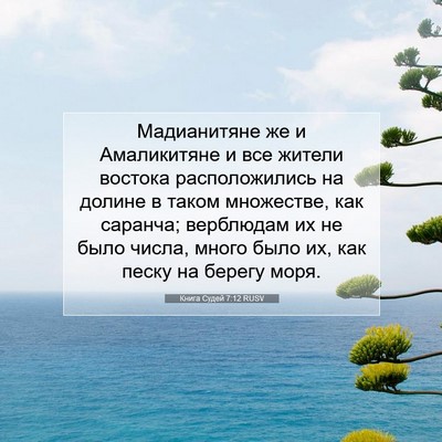 Picture 07 - Книга Судей 7:12 RUSV - Мадианитяне же и - Bible Verse Picture