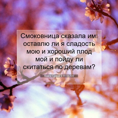 Picture 07 - Книга Судей 9:11 RUSV - Смоковница сказала им: - Bible Verse Picture