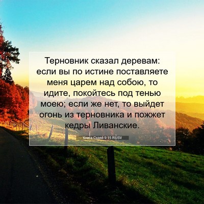 Picture 07 - Книга Судей 9:15 RUSV - Терновник сказал деревам: - Bible Verse Picture