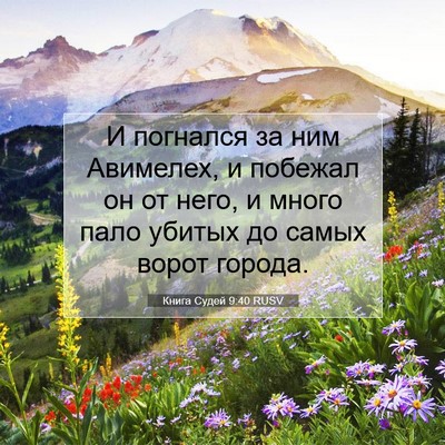 Picture 07 - Книга Судей 9:40 RUSV - И погнался за ним Авимелех, - Bible Verse Picture