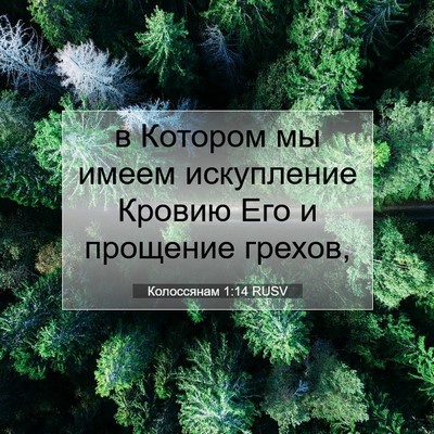 Picture 07 - Колоссянам 1:14 RUSV - в Котором мы имеем - Bible Verse Picture