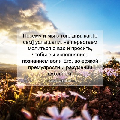 Picture 07 - Колоссянам 1:9 RUSV - Посему и мы с того дня, как - Bible Verse Picture