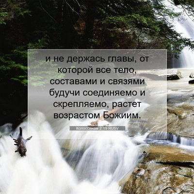 Picture 07 - Колоссянам 2:19 RUSV - и не держась главы, от - Bible Verse Picture