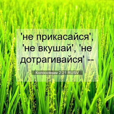 Picture 07 - Колоссянам 2:21 RUSV - 'не прикасайся', 'не вкушай', - Bible Verse Picture