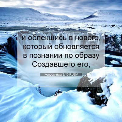 Picture 07 - Колоссянам 3:10 RUSV - и облекшись в нового, - Bible Verse Picture