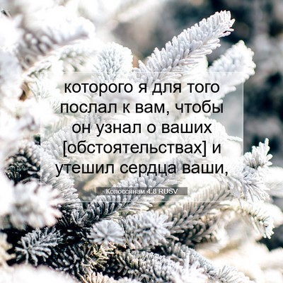 Picture 07 - Колоссянам 4:8 RUSV - которого я для того послал - Bible Verse Picture